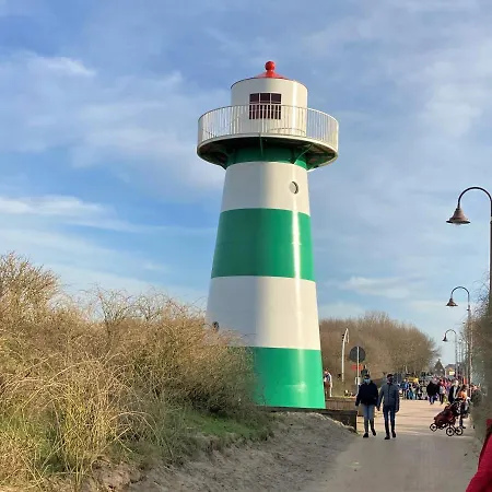 Lovely Acacia Де-Хаан