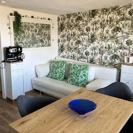 Lovely Acacia De Haan